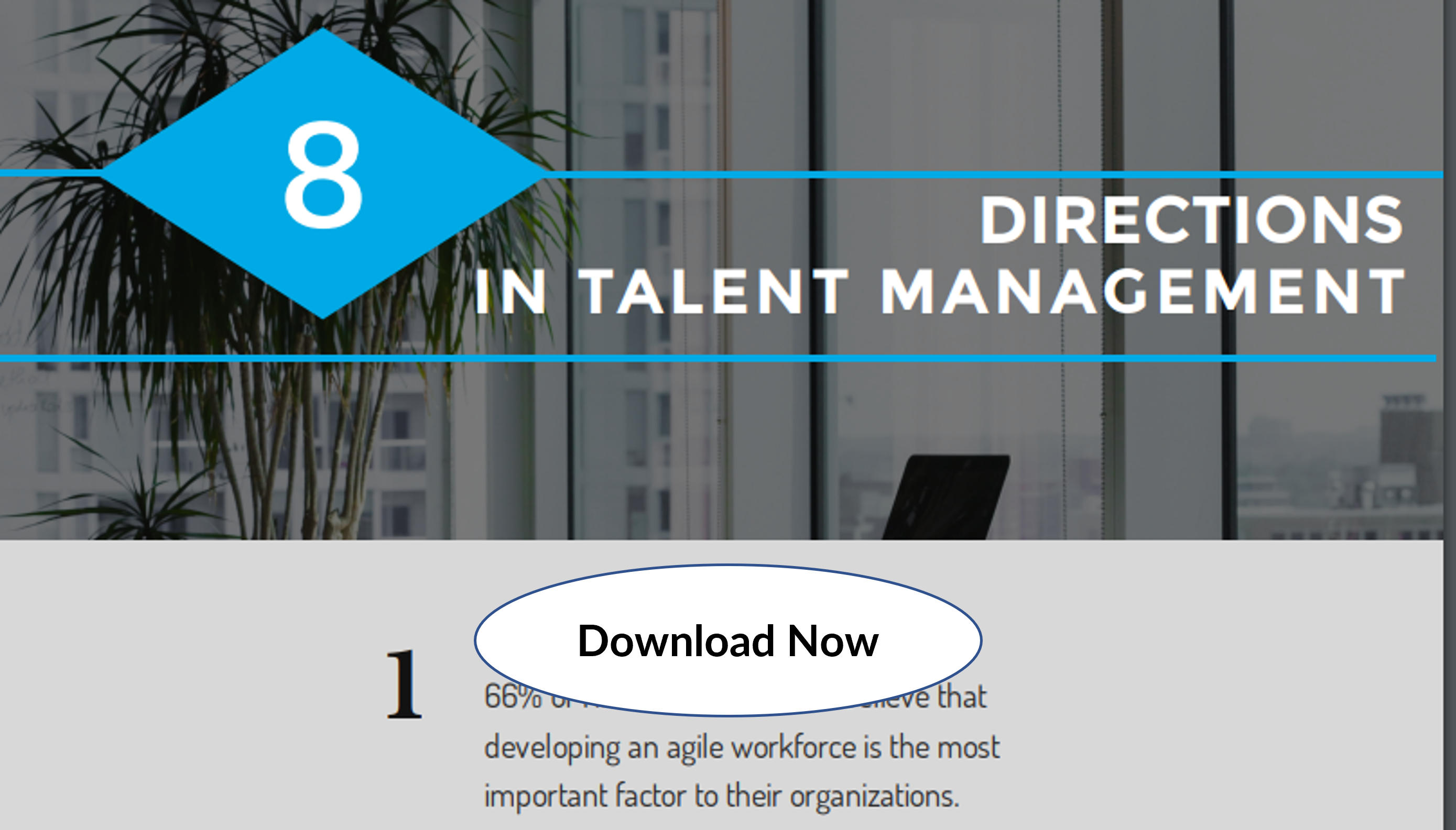 talent management